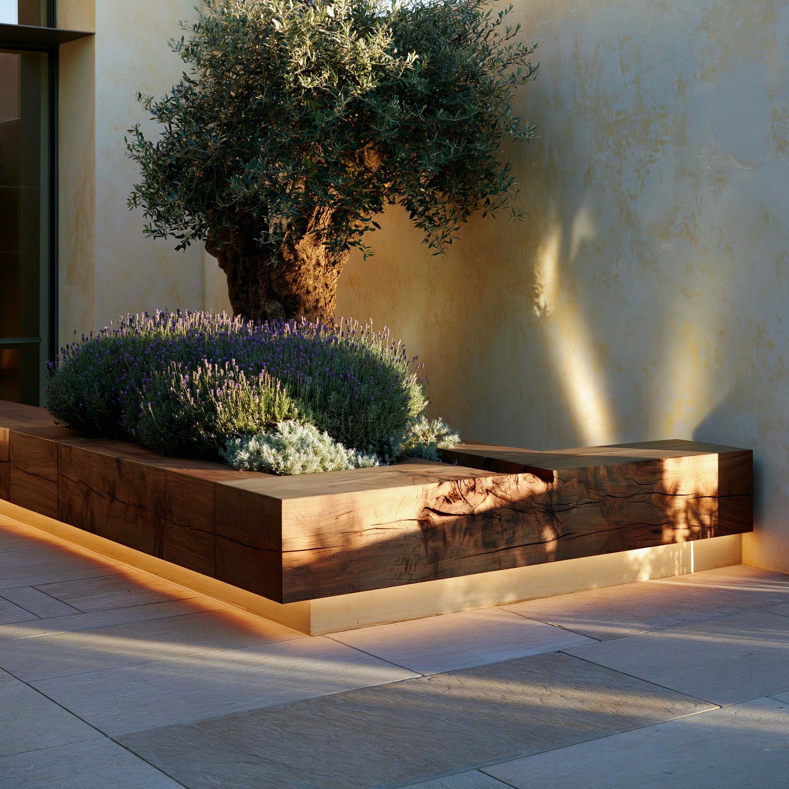 Équilibre des masses — banquette Lignum™ Block en noyer fumé contre mur en stucco lustro à Saint-Paul-de-Vence, Lavandula angustifolia émergente d’un côté et vide assumé de l’autre, Olea europaea en accent vertical, Paracelsus Gardens™