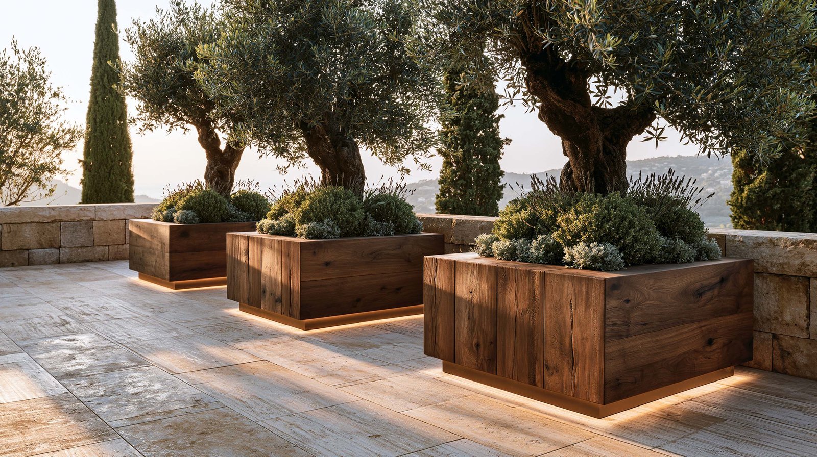 Séquence de trois jardinières Lignum™ Block identiques en noyer fumé alignées le long d’un parapet en travertin, chacune portant Olea europaea en port libre, Lavandula angustifolia et Helichrysum italicum, terrasse à l’aube à Saint-Paul-de-Vence, grammaire botanique Paracelsus Gardens™