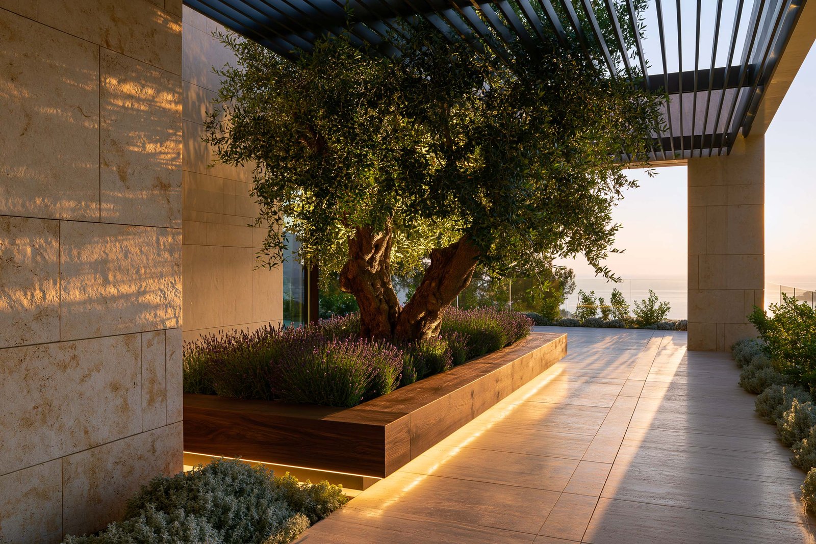 Hiérarchie de la lumière — terrasse couverte d’une villa à Roquebrune-Cap-Martin au golden hour, pergola SylvaVeil™ en lames d’Acciaio Brunito filtrant la lumière, Olea europaea adulte sculptural en port libre dans planter Lignum™, Lavandula angustifolia et Helichrysum italicum au pied, mur travertin texturé chaud, Paracelsus Gardens™