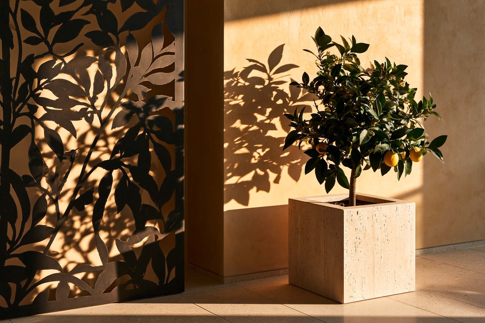 Ombres et filtrage — loggia urbaine d’un appartement à Monaco au matin, partition Hortus Velum™ Arcana en Acciaio Brunito à motif végétal organique ajouré projetant ses ombres botaniques sur un mur en stucco lustro ocre patiné, planter cube en travertin clair portant un Citrus × limon en arbuste compact à fruits jaunes, sol en travertin clair, raking light directionnel, Paracelsus Gardens™