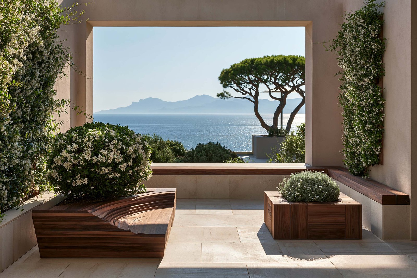Antibes — terrasse cadrée d’une villa du Cap d’Antibes, composition allégée avec un banc-jardinière sculptural Lignum™ Wave en noyer fumé live-edge taillé dans la masse accueillant Pittosporum tobira en fleurs blanches étoilées, un Lignum™ Block cubique bas en noyer fumé portant Westringia fruticosa argentée à fleurs blanches, Trachelospermum jasminoides en port encadré vertical sur les murs latéraux, banc bas en pierre claire à dessus noyer fumé, dalle en pierre claire ouverte sur la Mer Méditerranée avec un Pinus pinea en silhouette dans le jardin et le relief de l’Estérel à l’horizon — Paracelsus Gardens™