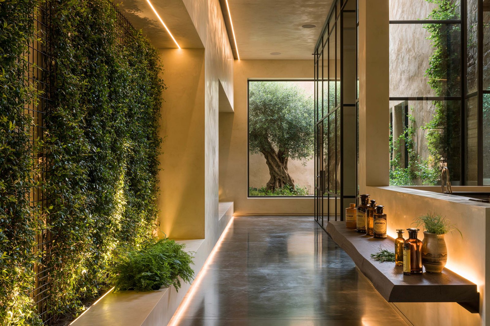 Couloir d’arrivée d’un spa boutique à Saint-Paul-de-Vence, mur végétal sur trame acier noirci, niche en stucco lustro chaud rétro-éclairée LED 2700K, console suspendue en noyer fumé portant flacons Apotheca.