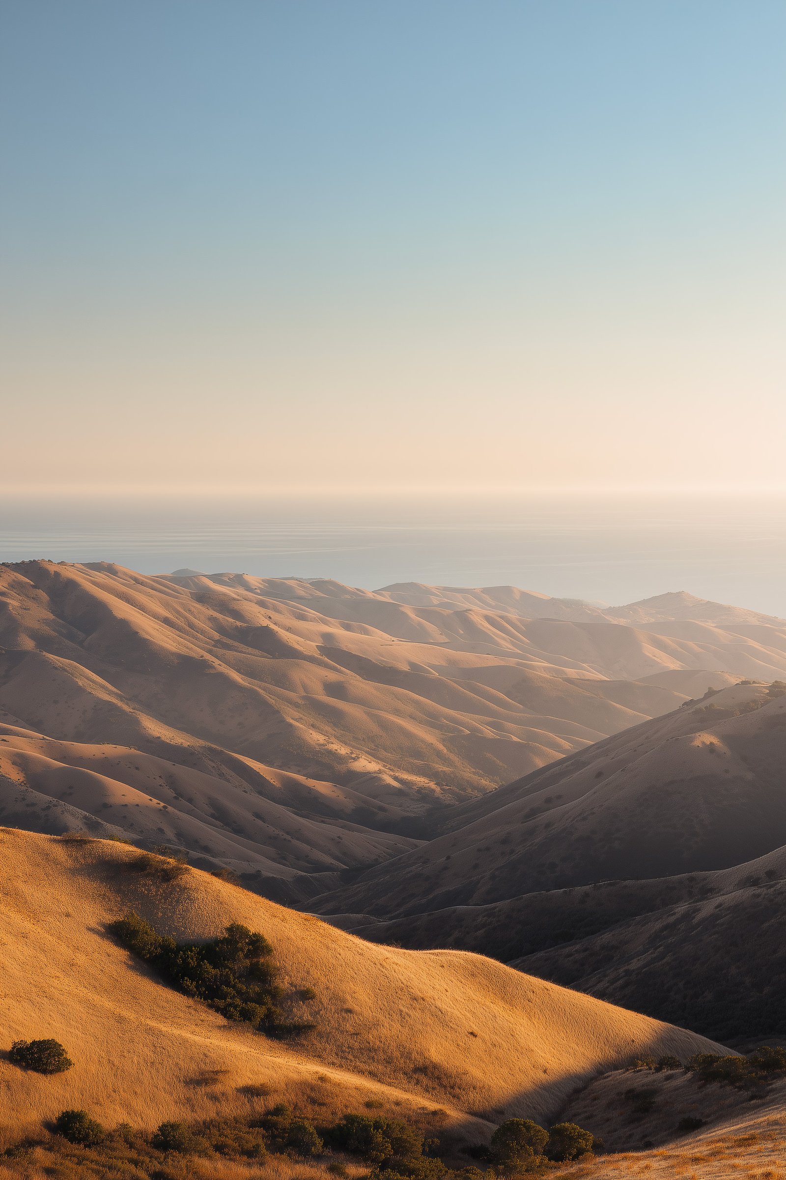 Origins — California landscape: open light, sculpted hills, dry grasses and expansive horizon
