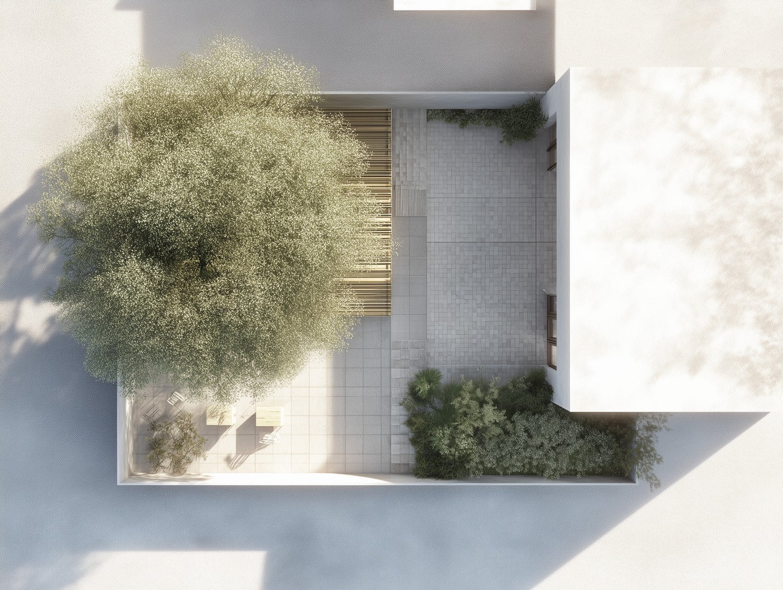 Site reading: botanical anchor points