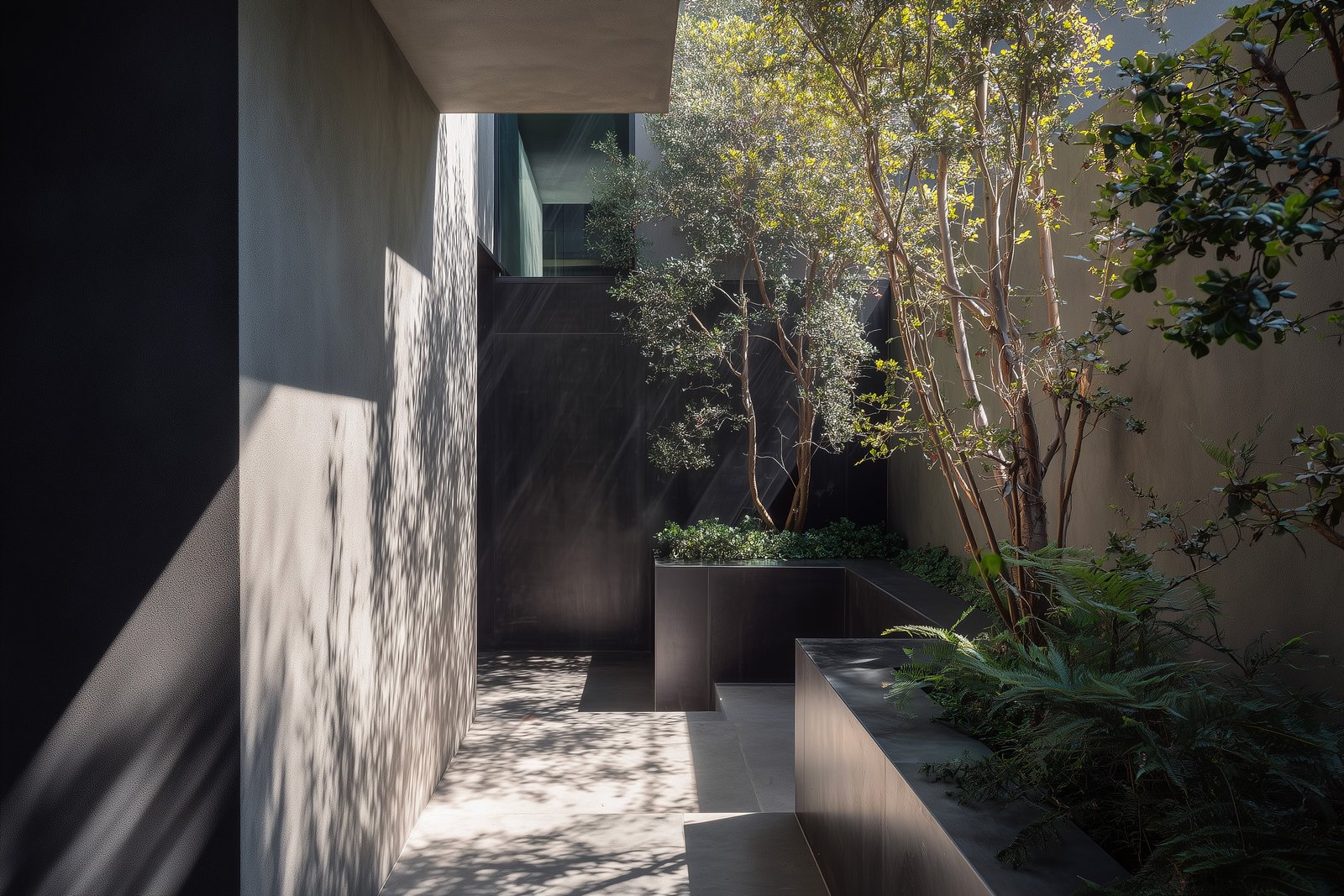 Shadow and light as materials within botanical architecture