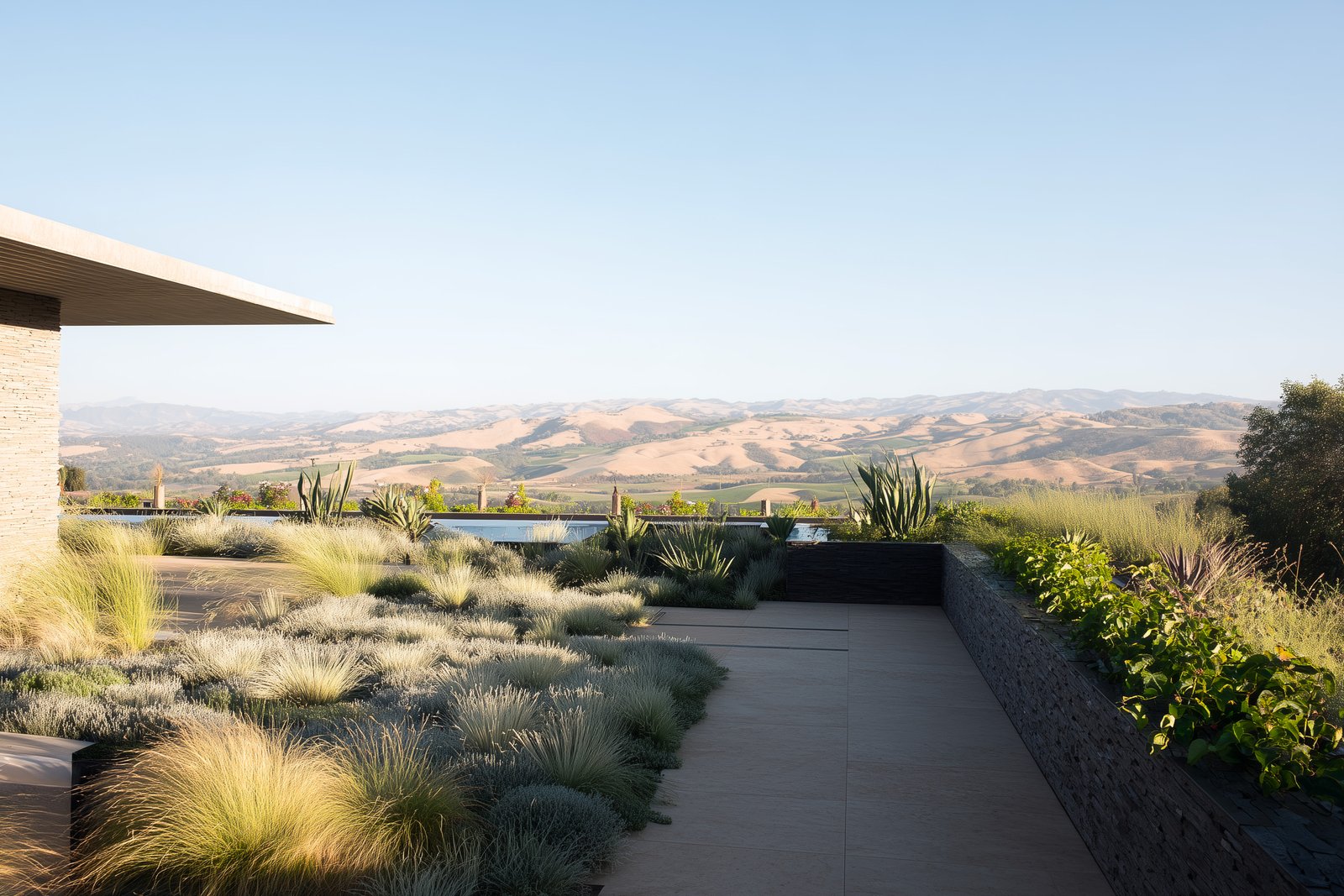 Continuity: a botanical presence across scale