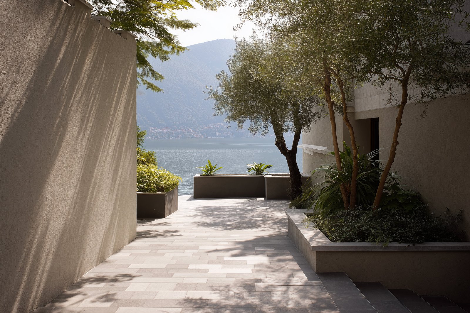 Daylight: shadow patterns filtered through foliage